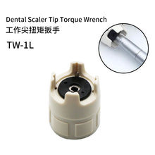Ŝargi bildon en Galerio-spektilon, HRRSDental Dental 135℃ Ultrasonic Scaler Tip Torque Wrench Key For NSK/DTE/EMS/Woodpecker
